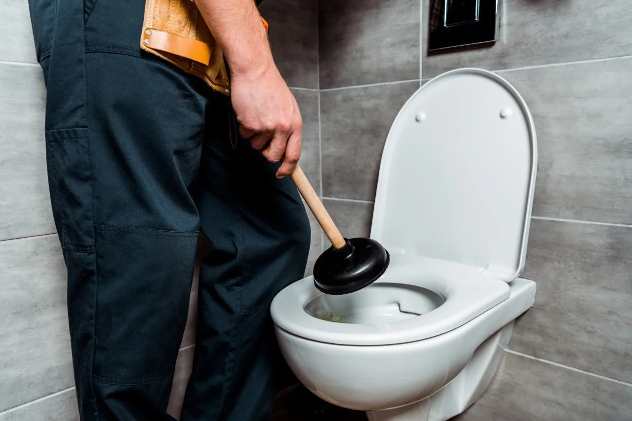 cropped-view-of-plumber-holding-plunger-near-toilet